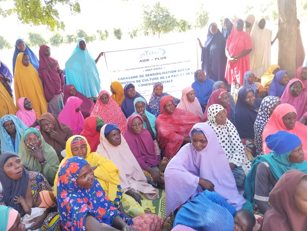 Actions communautaires pour la paix et la cohésion sociale à Djirataoua et Maine Soroa