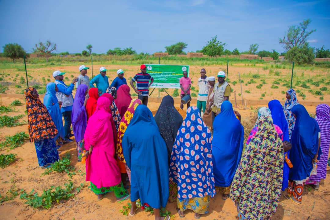 Renforcement des capacités des femmes productrice maraichers